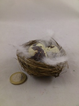 Nid avec 3 oeufs de caille et plumes